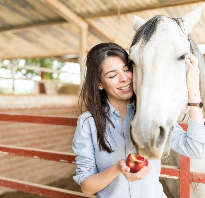Jak karmić konia? Poznaj naturalne żywienie koni